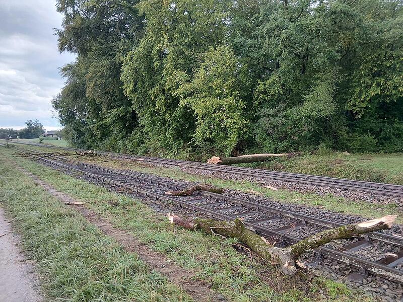 Personenzug kollidiert mit umgest&uuml;rztem Baum