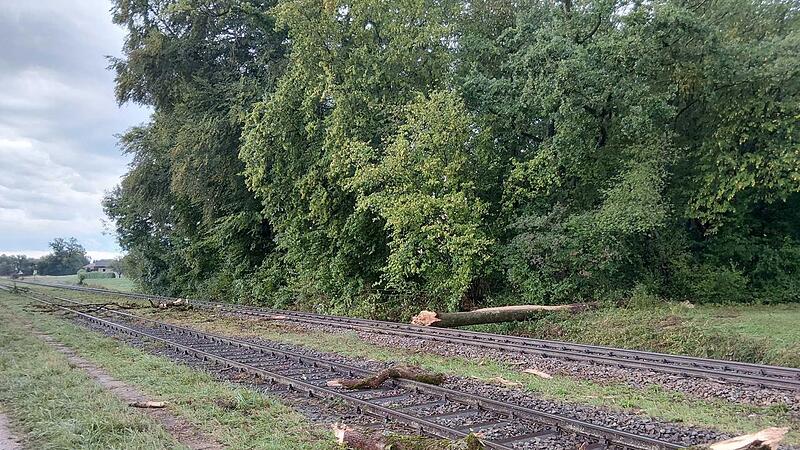 Personenzug kollidiert mit umgestürztem Baum Personenzug kollidiert mit umgestürztem Baum