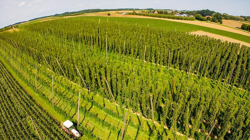 Hopfenrundfahrt 2025 Hopfenrundfahrt 2025