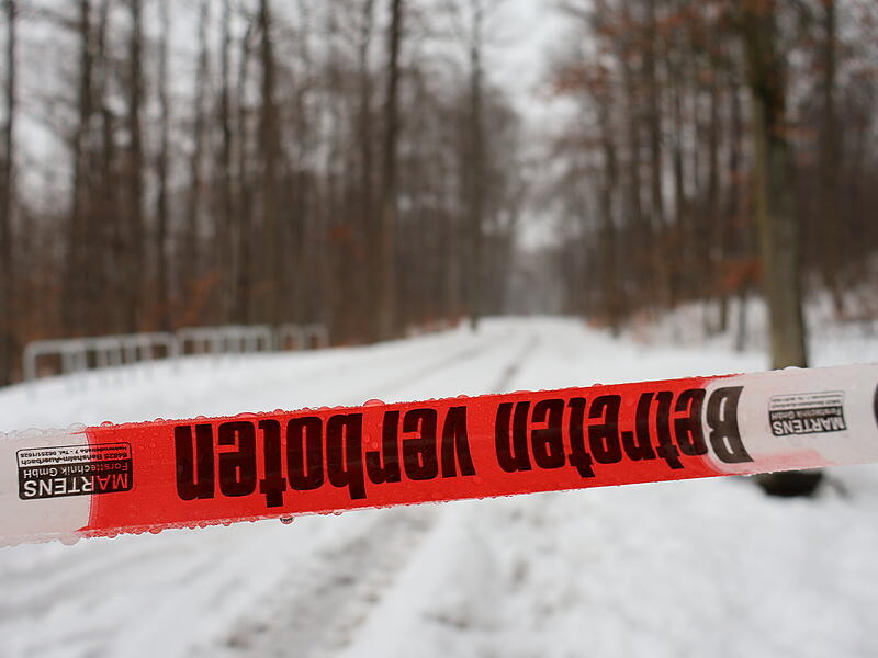 Der Kellerwald in Forchheim ist seit Dienstag gesperrt &mdash; und der Schnee f&auml;llt immer weiter.