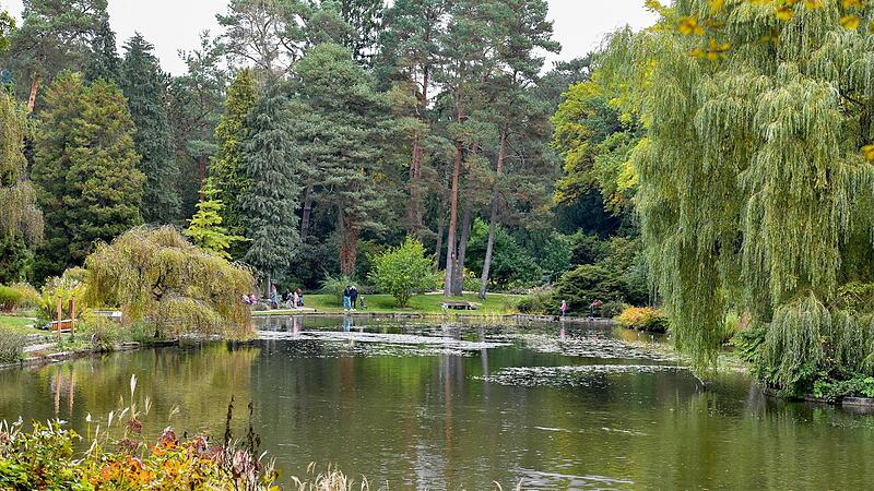 M&ouml;glichst nat&uuml;rlich sollte der Hainpark mit seinem Weiher ganz nach englischem Vorbild ausschauen. Kein Wunder, dass Amseln hier ideale Voraussetzungen fanden und finden.