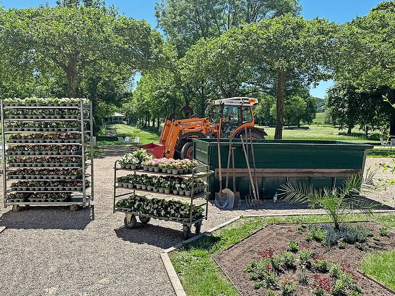 Insgesamt setzt die Kurgärtnerei in den nächsten Tagen rund 18.200 Sommerflorpflanzen. Insgesamt setzt die Kurgärtnerei in den nächsten Tagen rund 18.200 Sommerflorpflanzen.