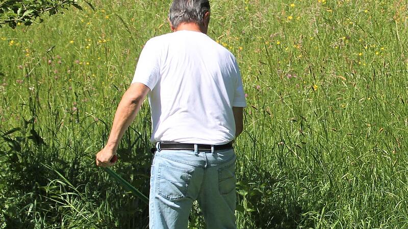 Das M&auml;hen mit der Sense hilft der Natur und macht bei richtiger Handhabung Spa&szlig;.
