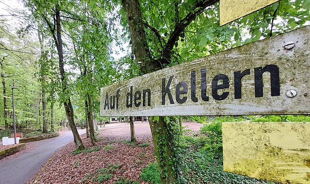 Der Forchheimer Kellerwald beherbergt auf einer Fläche von rund 20.000 Quadratmetern über 20 Bierkeller.