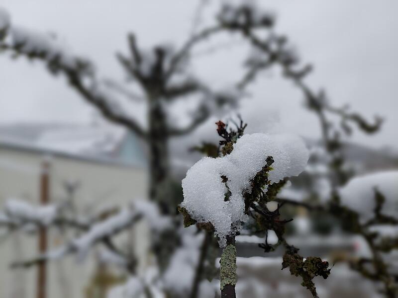 So sch&ouml;n ist die Fr&auml;nkische Schweiz im ersten Schnee der Saison 2023/24So sch&ouml;n ist die Fr&auml;nkische Schweiz im ersten Schnee der Saison 2023/24