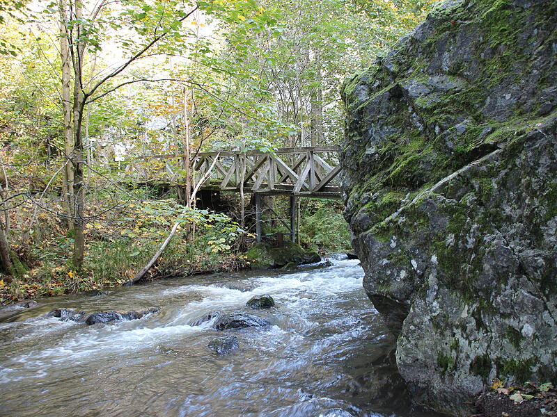 Die Steinachklamm in Stadtsteinach lädt zu Wanderungen ein.