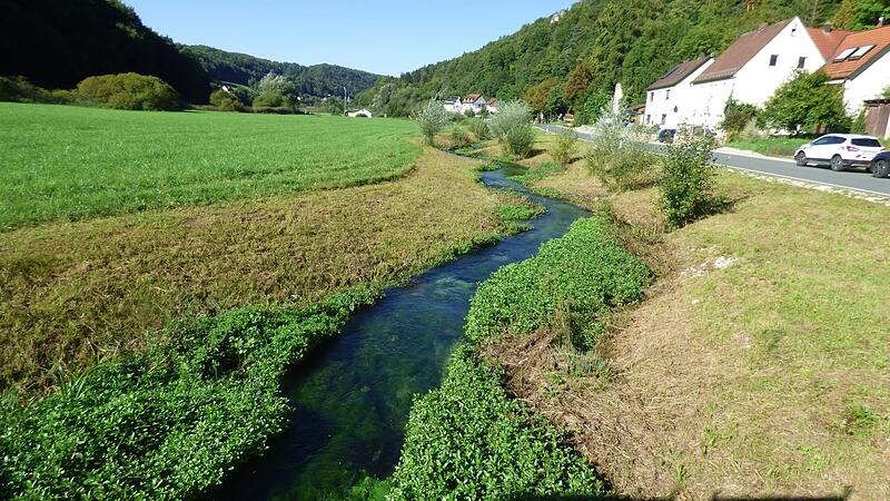 Im Rahmen der Dorferneuerung von Wolsberg wurde die Trubach verlegt und auf einer L&auml;nge von circa 250 Metern renaturiert.Forchheim & Fr&auml;nkische Schweiz