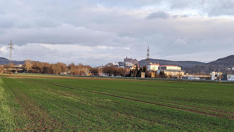 Gr&uuml;ne Felder in Kulmbach mitten im Januar: Starke Fr&ouml;ste w&auml;ren jetzt fatal f&uuml;rs junge Getreide.