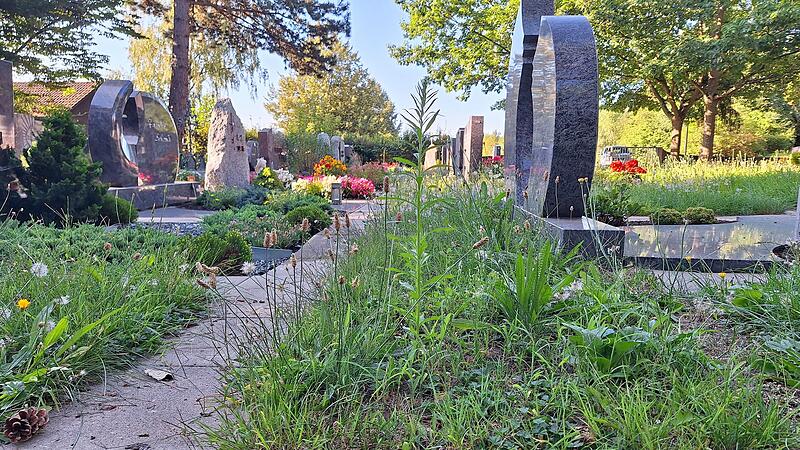 Wiese Friedhof Forchheim BurkForchheim & Fr&auml;nkische Schweiz