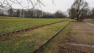 Hundewiese Coburg