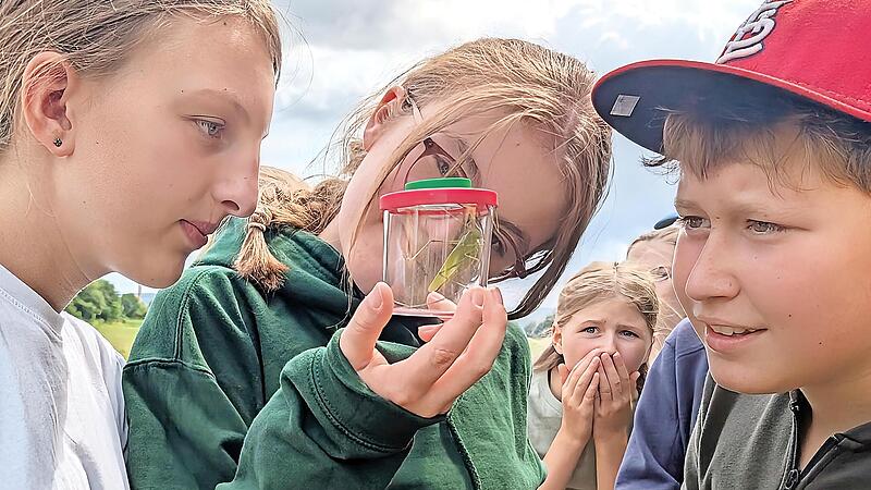 Zwischen Faszination und Schrecken: die Insektenwelt auf den Wässerwiesen.
