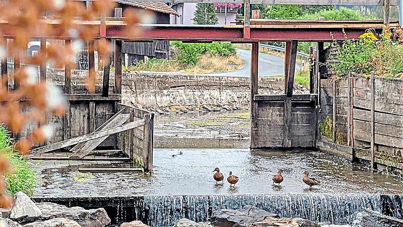 Das Wehr bei Schnappenhammer wurde abgelassen, um den Algenbefall zu stoppen. Dort, wo die Flößer ihre Fahrt starten, fühlen sich aktuell Enten wohl. Stadt Wallenfels Das Wehr bei Schnappenhammer wurde abgelassen, um den Algenbefall zu stoppen. Dort, wo die Flößer ihre Fahrt starten, fühlen sich aktuell Enten wohl. Stadt Wallenfels