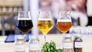 Pressekonferenz vor der Weltmeisterschaft der Bier-Sommeliers