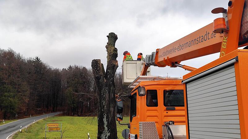Die Linde bei  bei Wohlmuthsh&uuml;ll wurde gef&auml;llt.Forchheim & Fr&auml;nkische Schweiz