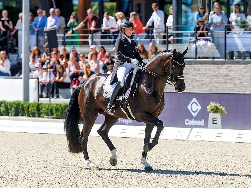 Pferdesport/Dressur: Europameisterschaft