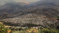 Waldbrände in der Türkei