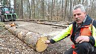 Ludwig Thiem von der Waldbesitzervereinigung Fränkische Schweiz kritisiert: Von der plötzlich gestiegenen Nachfrage würden auch regionale Waldbauern nachhaltig überhaupt nicht profitieren.Forchheim & Fränkische Schweiz