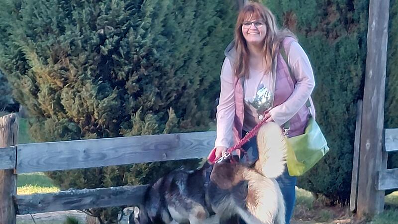 Anja J&auml;ckisch hat dem Kronacher Tierheim einen Besuch abgestattet und dabei den Husky &bdquo;Bandit&ldquo; kennengelernt, der ein neues Zuhause sucht.