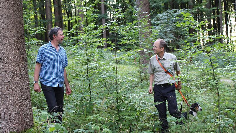 Edgar Schleicher (links) und Stefan Ludwig freuen sich über einen gesunden Wald.Forchheim & Fränkische Schweiz Edgar Schleicher (links) und Stefan Ludwig freuen sich über einen gesunden Wald.Forchheim & Fränkische Schweiz
