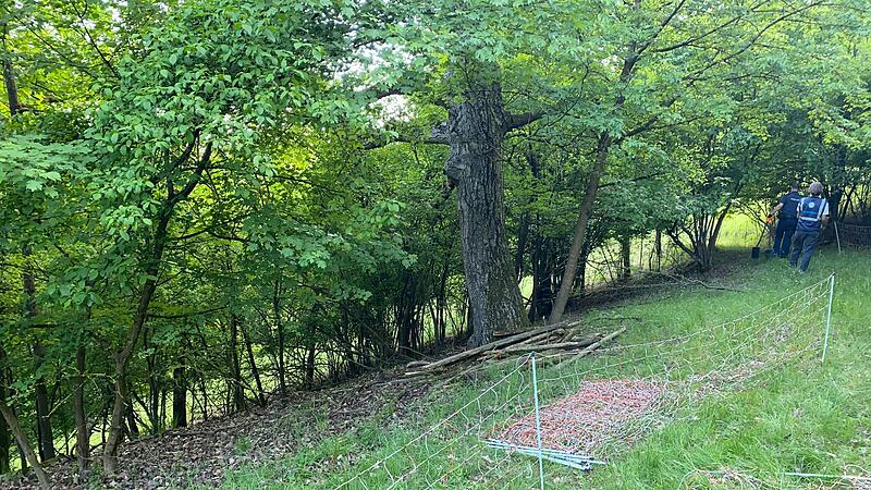 Zerschnittener Elektrozaun