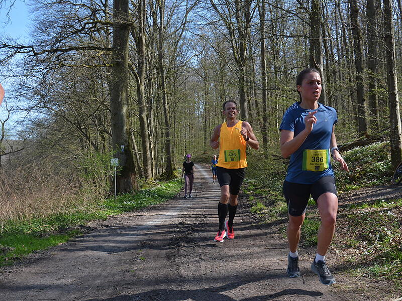 Bilderstrecke vom Saaletal-Marathon in RamsthalSaaletal-Marathon in Ramsthal