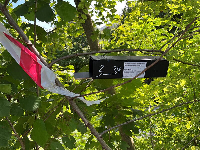 Haselmaus-Nisthilfen in Hammelburg