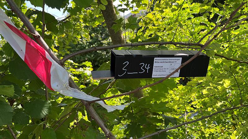 Haselmaus-Nisthilfen in Hammelburg