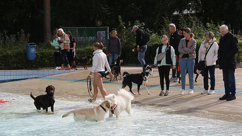 Hundebadetag Aquaria 2024Hundebadetag im Aquaria 2024