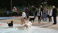 Hundebadetag Aquaria 2024Hundebadetag im Aquaria 2024