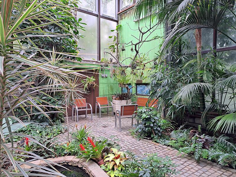 Der absolute Favorit steht aber im Palmenhaus. Wenn man die hohe Luftfeuchtigkeit mal vergisst, ist das sicher der beste Ausblick.