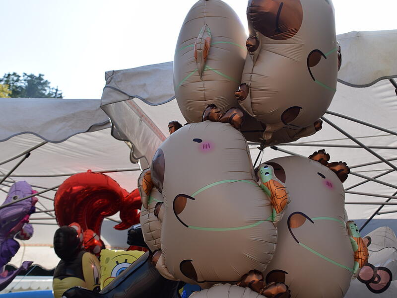 Kronacher Freischießen 2025: Wie zwei Frauen den Ballons das Wegfliegen verlernen Kronacher Freischießen 2025: Wie zwei Frauen den Ballons das Wegfliegen verlernen