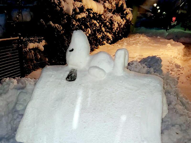 Schneefotos ForchheimSchnee, Schnee, Schnee in Forchheim Der Schnee macht Forchheim kreativ: In der Stadt und im Landkreis sind wunderschöne Schneeiglus und Schneeskulpturen entstanden.