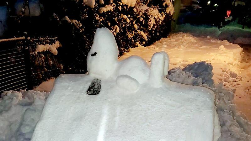 Schneefotos ForchheimSchnee, Schnee, Schnee in Forchheim Der Schnee macht Forchheim kreativ: In der Stadt und im Landkreis sind wunderschöne Schneeiglus und Schneeskulpturen entstanden.