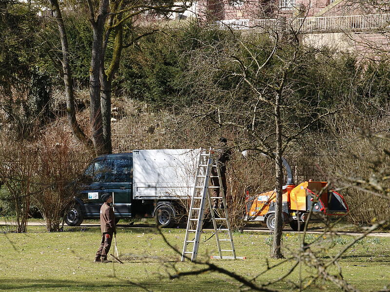 Die Staatsbad Gmbh macht den Kurgarten fit fürs FrühjahrDie ersten Frühlingsboten in Bad Kissingen Die Staatsbad Gmbh macht den Kurgarten fit fürs Frühjahr