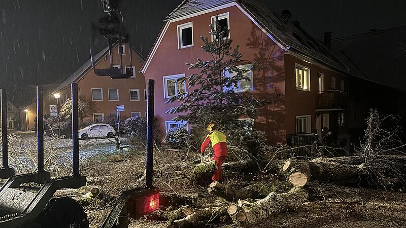 Die große Linde in Steppachs Fröschgass fiel der Schneelast zum Opfer. Die große Linde in Steppachs Fröschgass fiel der Schneelast zum Opfer.