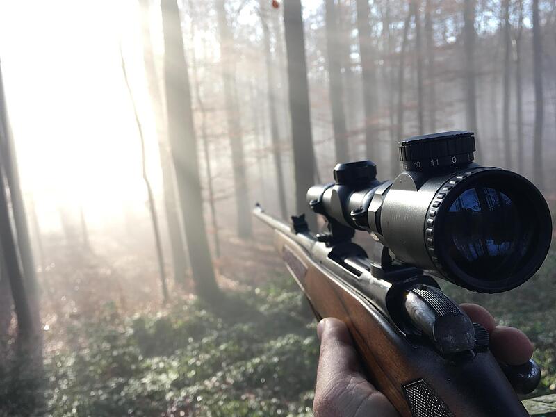 Ob ein Wolf geschossen werden darf, entscheidet die Untere Naturschutzbehörde. (Symbolbild)