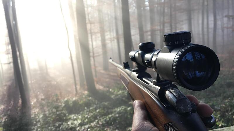 Geht es nach den Anordnungen des LfU, geraten die jungen Wolfshybriden jetzt ins Visier ausgewählter Jäger.