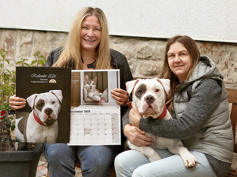 Jahreskalender des Tierheims Fulda-Hünfeld