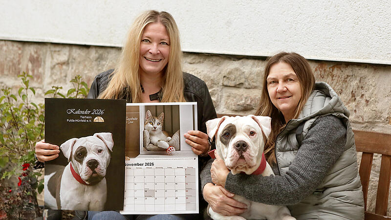 Jahreskalender des Tierheims Fulda-H&uuml;nfeld