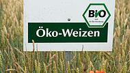 Öko-Weizen Öko-Weizen