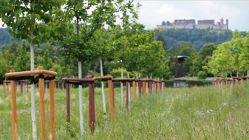 Naturpark auf Lauterer H&ouml;he in Coburg kostet mindestens zwei Millionen Euro