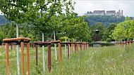 Naturpark auf Lauterer H&ouml;he in Coburg kostet mindestens zwei Millionen Euro