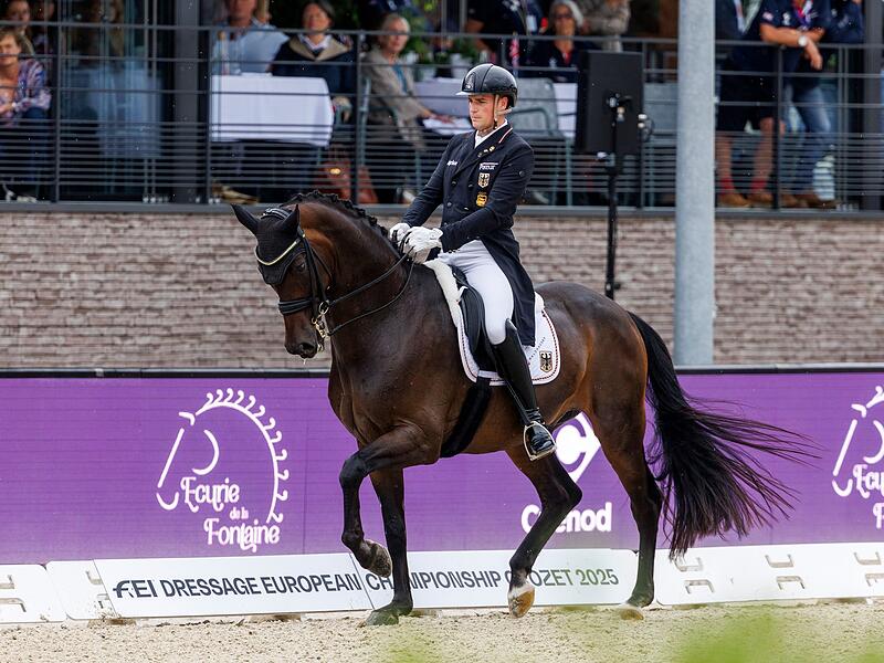Pferdesport/Dressur: Europameisterschaft