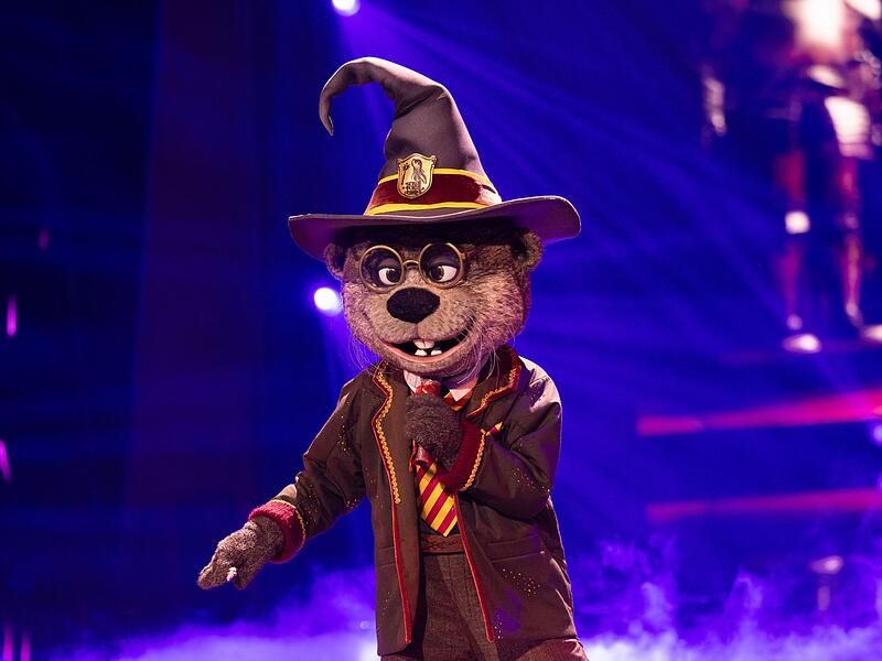 „The Masked Singer“