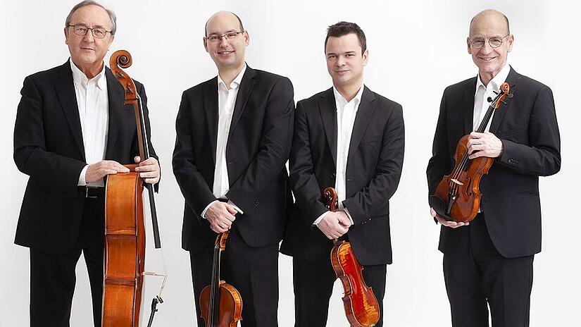 Das Bamberger Streichquartett wird diese Woche auch in Schloss Seehof auftreten.