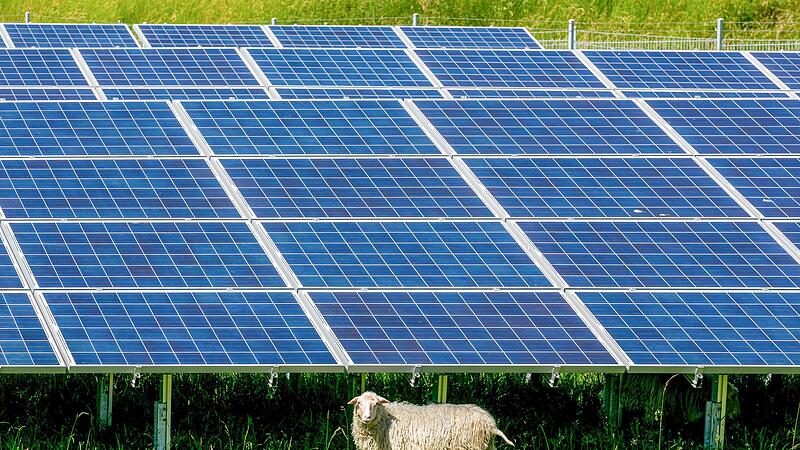 Wie auf diesem Symbolbild k&ouml;nnten Schafe unter den Platten grasen.