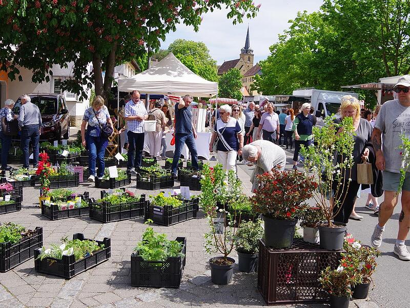 Der Fr&uuml;hjahrs- und Gartenmarkt in K&uuml;ps zog viele Besucher an.