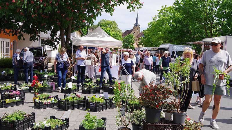 Der Fr&uuml;hjahrs- und Gartenmarkt in K&uuml;ps zog viele Besucher an.