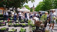 Der Fr&uuml;hjahrs- und Gartenmarkt in K&uuml;ps zog viele Besucher an.