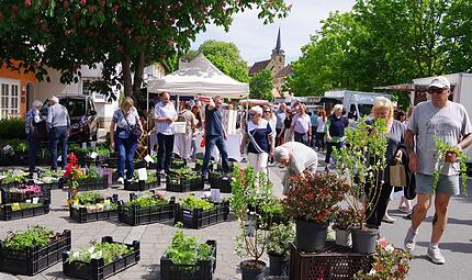 Der Fr&uuml;hjahrs- und Gartenmarkt in K&uuml;ps zog viele Besucher an.